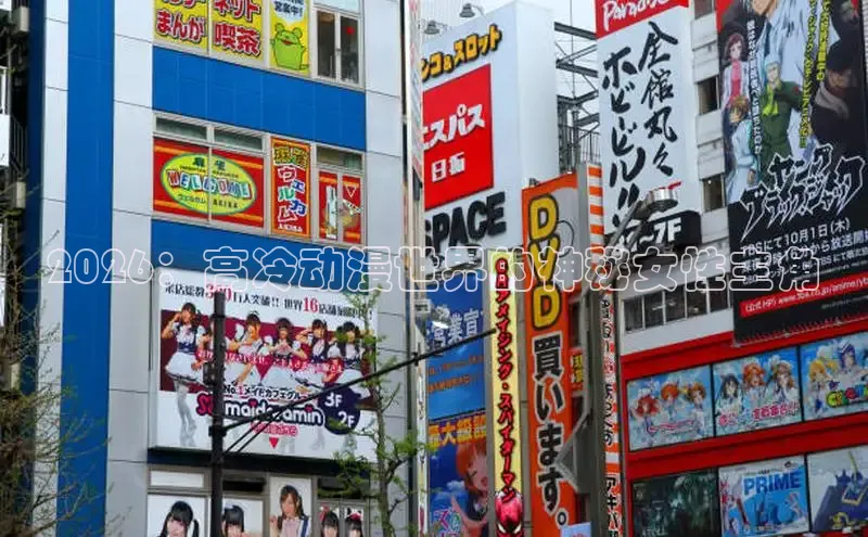 2026：高冷动漫世界的神秘女性主角